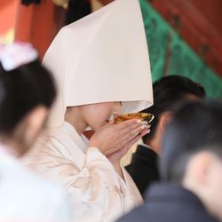 鎌倉鶴岡八幡宮の写真6枚目