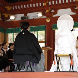 鎌倉鶴岡八幡宮の写真12枚目