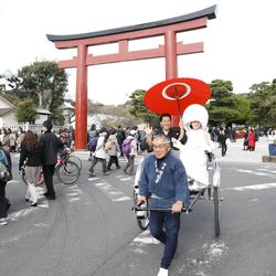 鎌倉鶴岡八幡宮の写真9枚目
