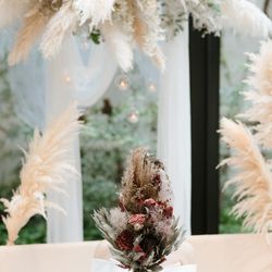 下鴨神社の写真10枚目