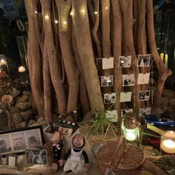 SOLA KOBEの写真8枚目