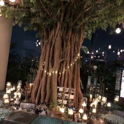 SOLA KOBEの写真18枚目