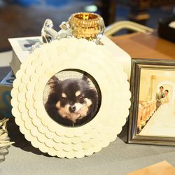 名古屋マリオットアソシアホテルの写真13枚目