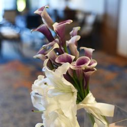 名古屋マリオットアソシアホテルの写真13枚目