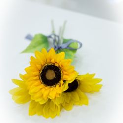 アルカンシエル ベリテ 大阪の写真31枚目