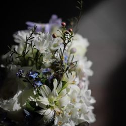 オリエンタルホテル 神戸・旧居留地の写真4枚目