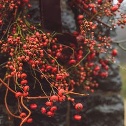 古我邸の写真15枚目