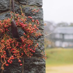 古我邸の写真18枚目