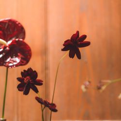 古我邸の写真1枚目