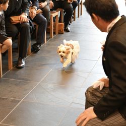 TRUNK HOTELの写真14枚目