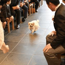 TRUNK HOTELの写真26枚目