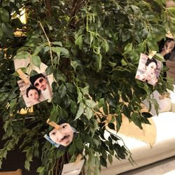 ラグナヴェール大阪 LAGUNAVEIL OSAKAの写真3枚目