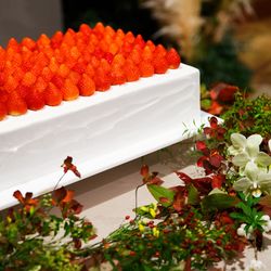 パレスホテル東京の写真33枚目