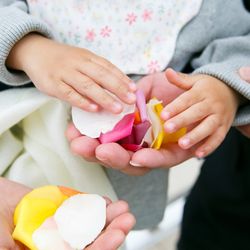 マンダリンポルトの写真7枚目
