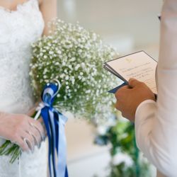 マンダリンポルトの写真16枚目