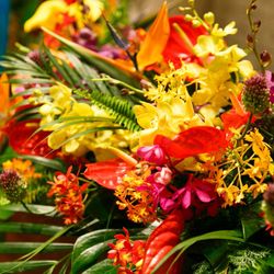 マンダリンポルトの写真16枚目