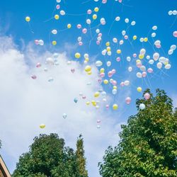 ララシャンス 博多の森の写真35枚目