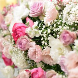 セント ラファエルチャペルの写真22枚目