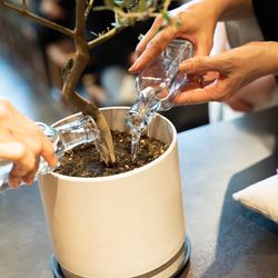 TRUNK HOTELの写真21枚目