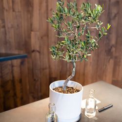 TRUNK HOTELの写真23枚目