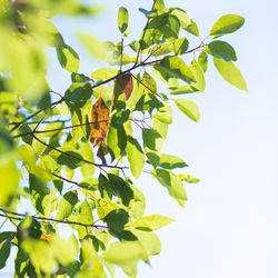 ストリングス ウエディングヒルズの写真16枚目