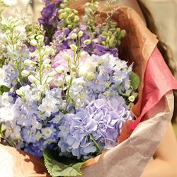 Mia Viaの写真2枚目