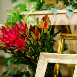 TOASTの写真13枚目