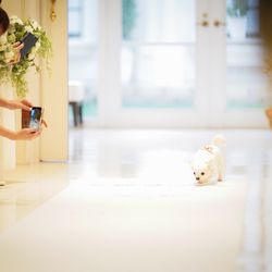 アーセンティア迎賓館 静岡の写真18枚目