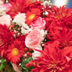 ディアステージつくばフォレストテラスの写真10枚目