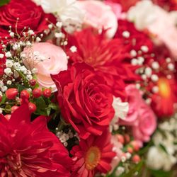 ディアステージつくばフォレストテラスの写真2枚目