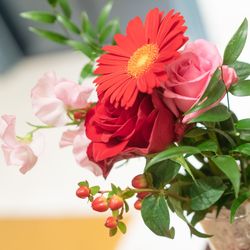 ディアステージつくばフォレストテラスの写真21枚目