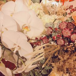 ザ・カワブンナゴヤの写真2枚目