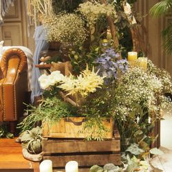 ラピスアジュールの写真6枚目