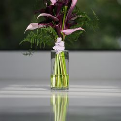 ザ ナンザンハウスの写真20枚目