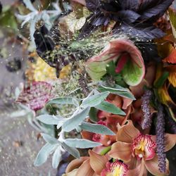 ザ ナンザンハウスの写真21枚目