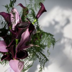 ザ ナンザンハウスの写真11枚目