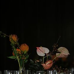 ザ ナンザンハウスの写真1枚目