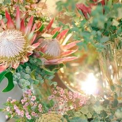 ザ・ガーデンオリエンタル大阪の写真27枚目