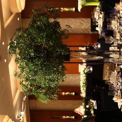 コンラッド東京の写真29枚目