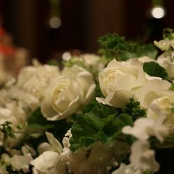 コンラッド東京の写真36枚目