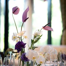 ザ・ガーデンオリエンタル大阪の写真21枚目