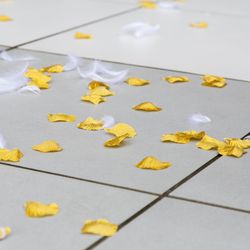 けやき坂 彩桜邸 シーズンズテラスの写真28枚目