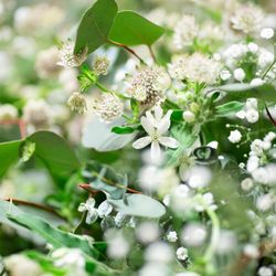 KOTOWA 鎌倉 鶴ヶ岡会館の写真13枚目