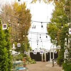 モアフィール宇都宮プライベートガーデンの写真12枚目