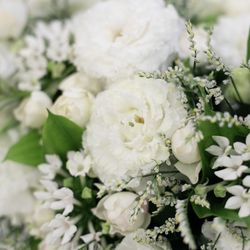 青山セントグレース大聖堂の写真28枚目