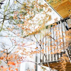 IWAI OMOTESANDOの写真12枚目