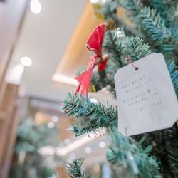 アーブルオランジュの写真11枚目