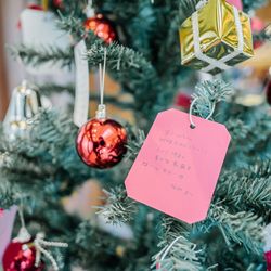 アーブルオランジュの写真20枚目