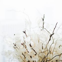 アンダーズ東京の写真36枚目