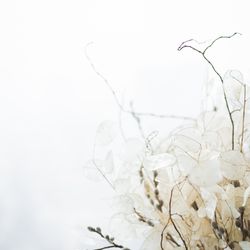 アンダーズ東京の写真36枚目